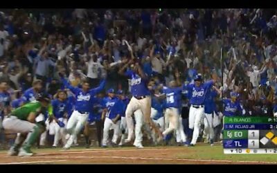 The LIDOM Championship Series was ELECTRIC! (Licey wins 4 games to 1) | Full Tournament Recap