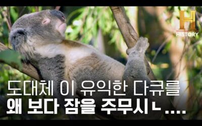 90분 특집 다큐🌿 40억 년 동안 풀리지 않은 생명 탄생의 비밀 (해설: 원호섭) [생명의 기원]