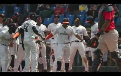 Come for the homer, stay for the celly | Xander Bogaerts Goes Yard for Team Netherlands