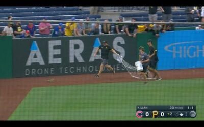 SQUIRREL on the loose DISRUPTS Cubs-Pirates game!