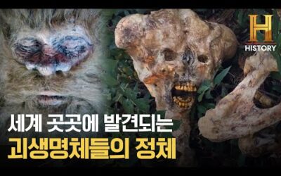 괴생명체들 출몰.. 과연 실존할까? 전문가들의 팩트체크 [미스터리 팩트체크]