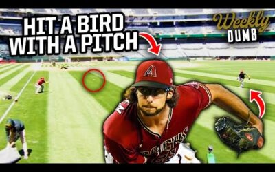 Diamondbacks pitcher hits a bird with a pitch | Weekly Dumb