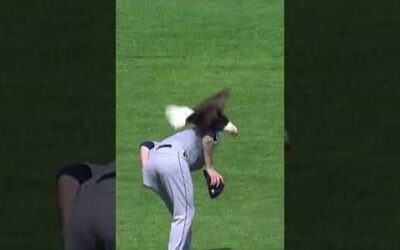 FLY LIKE AN EAGLE! James Paxton has bald eagle LAND ON HIM! 🤣🤣