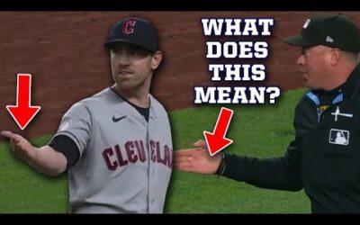 No one knew what this umpire’s signal was, a breakdown