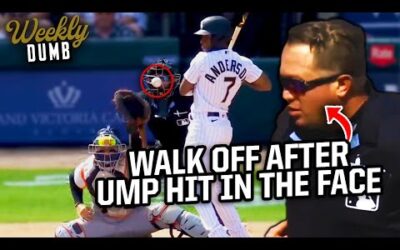 White Sox walk it off after umpire gets pelted in the face with a pitch | Weekly Dumb