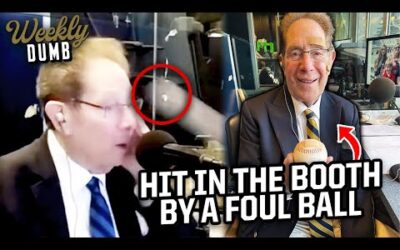 Yankees announcer gets struck by foul ball | Weekly Dumb