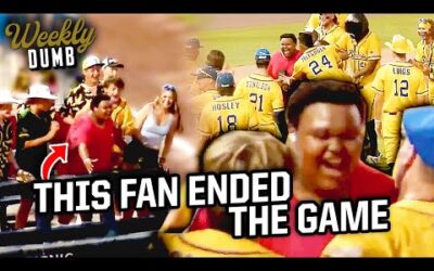 Game ends when fan catches foul ball | Weekly Dumb