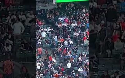 CATCH IT IN THE NET! Fan catches foul ball with a NET!