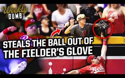 Kid steals ball out of fielder’s glove during catch | Weekly Dumb