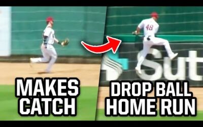 Outfielder drops ball over fence for home run, a breakdown