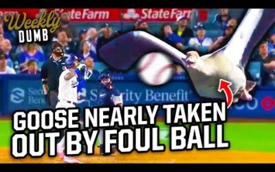 David Peralta nearly takes out a goose with foul ball | Weekly Dumb