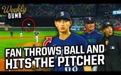 Fan throws a ball from the stands that hits Mariners pitcher | Weekly Dumb