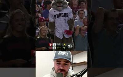 Mascot gets mad at umpire