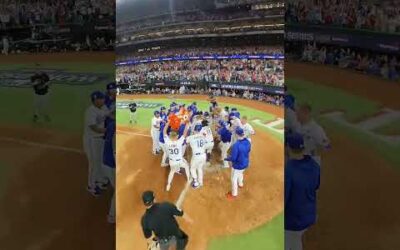 POV: You just hit a #walkoff home run in the #WorldSeries.