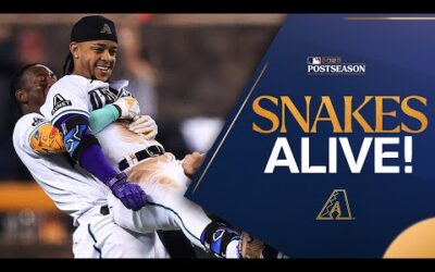 SNAKES ALIVE! Extended cut of the WILD Diamondbacks walk-off!