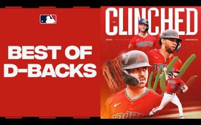 The D-backs are BACK in the postseason! Corbin Carroll, Zac Gallen, and MORE 2023 highlights!