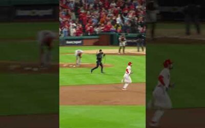 This view of Trea Turner’s #NLCS home run. 😍