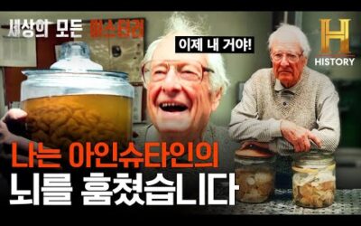 무려 43년! 아인슈타인의 뇌를 훔치고 보관한 남자 [세상의 모든 미스터리]