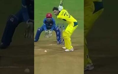 Glenn Maxwell dominates without using legs