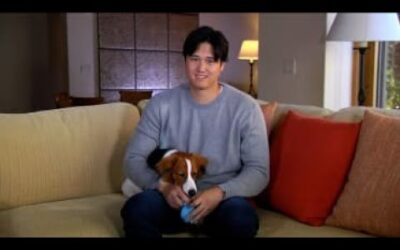 Shohei Ohtani (and his furry friend) react to winning his 2nd AL MVP award!