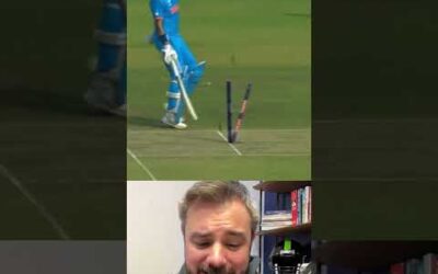 AWESOME PLAY in Cricket World Cup final