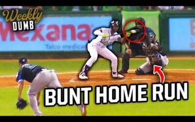 Raimel Tapia hits a bunt home run in the Dominican League | Weekly Dumb