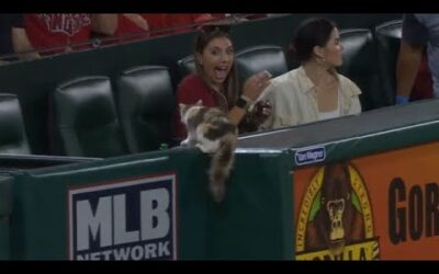 When animals go wild! Animals visit the ballpark in 2023!