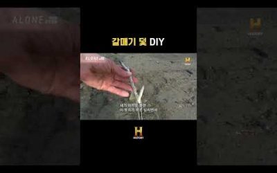 갈매기 덫 DIY