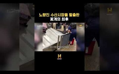 노량진 수산시장을 탈출한 꽃게의 최후