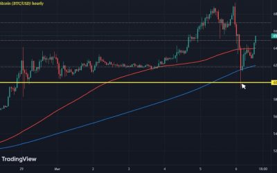 Bitcoin rebounds back to $65,000 after overnight plunge