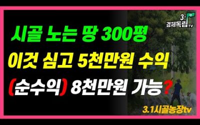 [속보]시골 노는땅 300평 이것 심고 5천만원수익? 3년만에 순수익 8천만원도 가능하다고?]#3.1경제독립tv