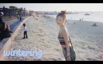 이 여행 됐다!🐶🏝️ | WINTER in Okinawa | Wintering Vlog