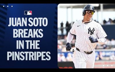 Juan Soto has been crushing it for the Yankees this Spring | Full Spring Training Highlights