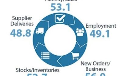 New Zealand services PMI for February 53.0 (prior 52.2)