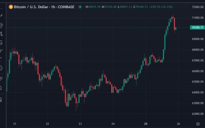 South American gold miner Nilam Resources wants to buy 24,800 Bitcoin