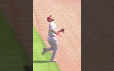 You have to see this catch by Matt Carpenter 😳