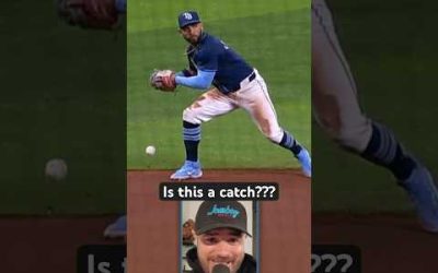 Baseball enters catch or no catch dilemma, a breakdown #mlb #umpire #baseball