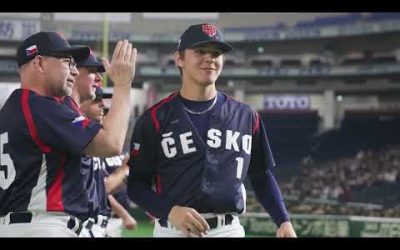 Baseball Zen: World Baseball Classic (Baseball ASMR)