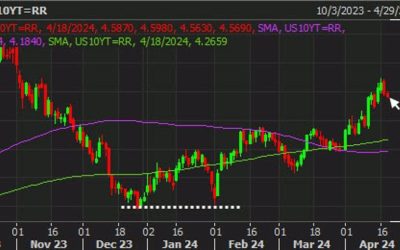 Dollar cools off in trading this week