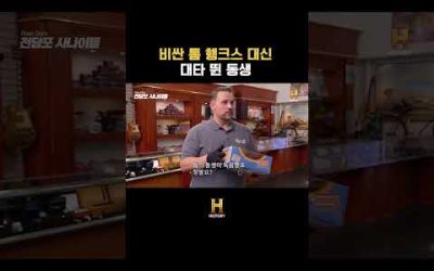 비싼 톰 행크스 대신 대타 뛴 동생