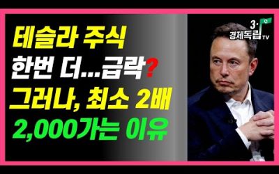 [ 테슬라 주식!! 한번 더..급락?? 그러나, 최소 2배..2000가는 이유!!]#3.1경제독립tv