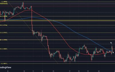 Euro gives it all back as PMI pop fades