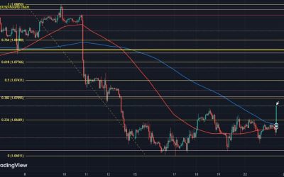 Euro nudges higher as ECB gets some room to work with