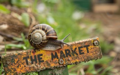 It’s slow going so far in Friday’s Asia-Pacific trading