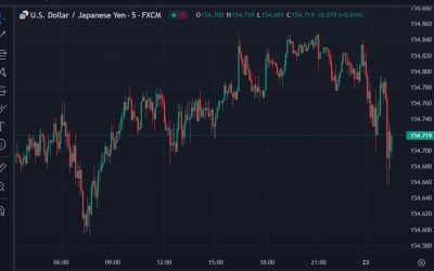 Japan finance minister says groundwork laid to take appropriate FX action