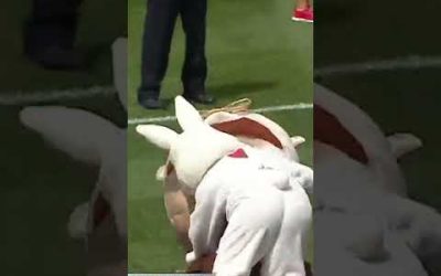 The Easter Bunny outta nowhere! 🐰🤣