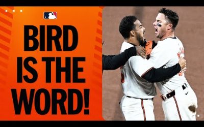 The Orioles WALK IT OFF at Camden Yards!