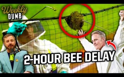 Diamondbacks and Dodgers delayed due to bees & Child finds 50,000 bees in her wall | Weekly Dumb