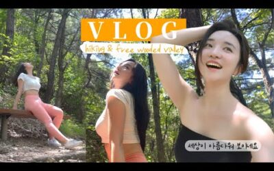 [4K 고화질] 등산도 하고 💛평생 무료로 수영가능한 금오동천 계곡 여름 VLOG A valley where you can hike and swim for free for life