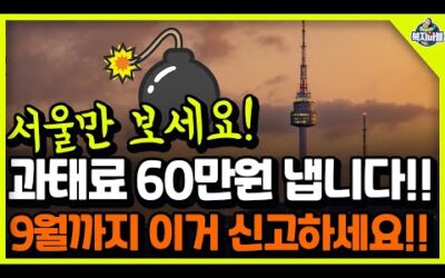 9월까지 이거 신고하세요! 과태료 60만원 냅니다!! 서울 시민만 보세요!